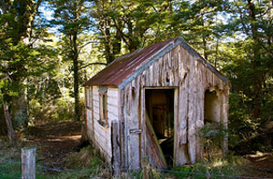 Garden Shed Removal Cookham