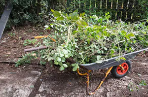 Garden Waste Removal Barrow-in-Furness UK